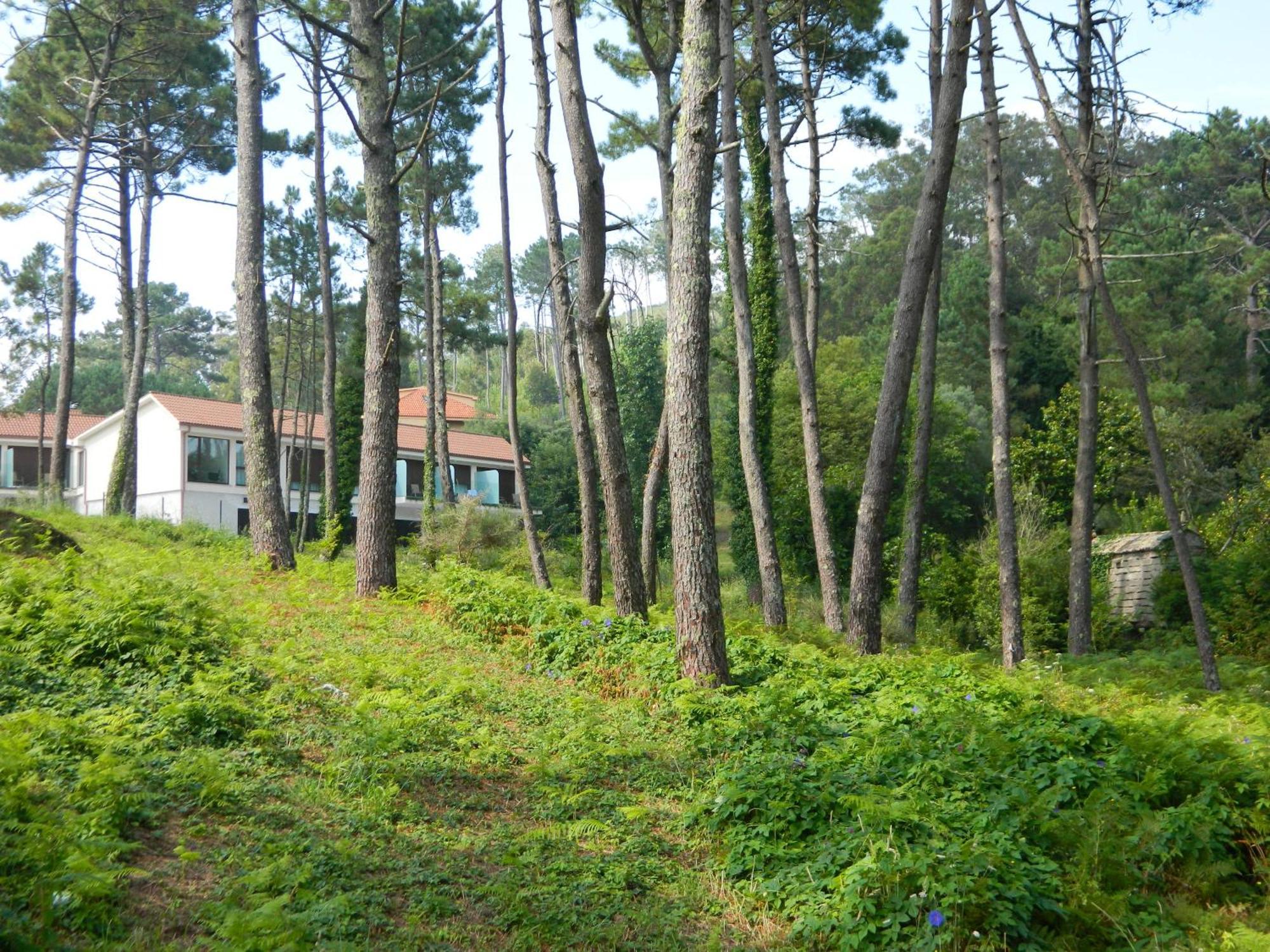 Hotel Alen Do Mar Finisterre Eksteriør bilde